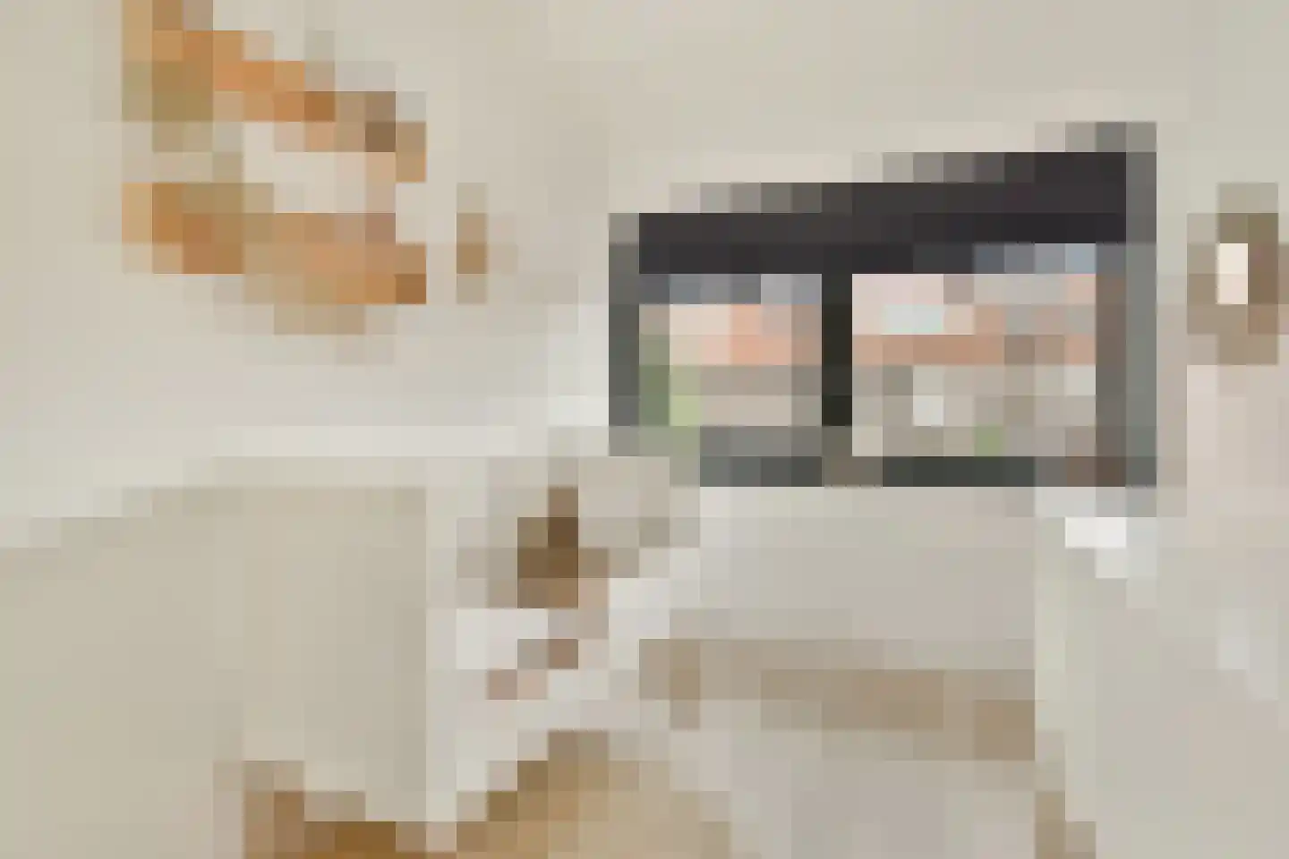 Isaac Israëlslaan 15 Rhoon thumbnail 14
