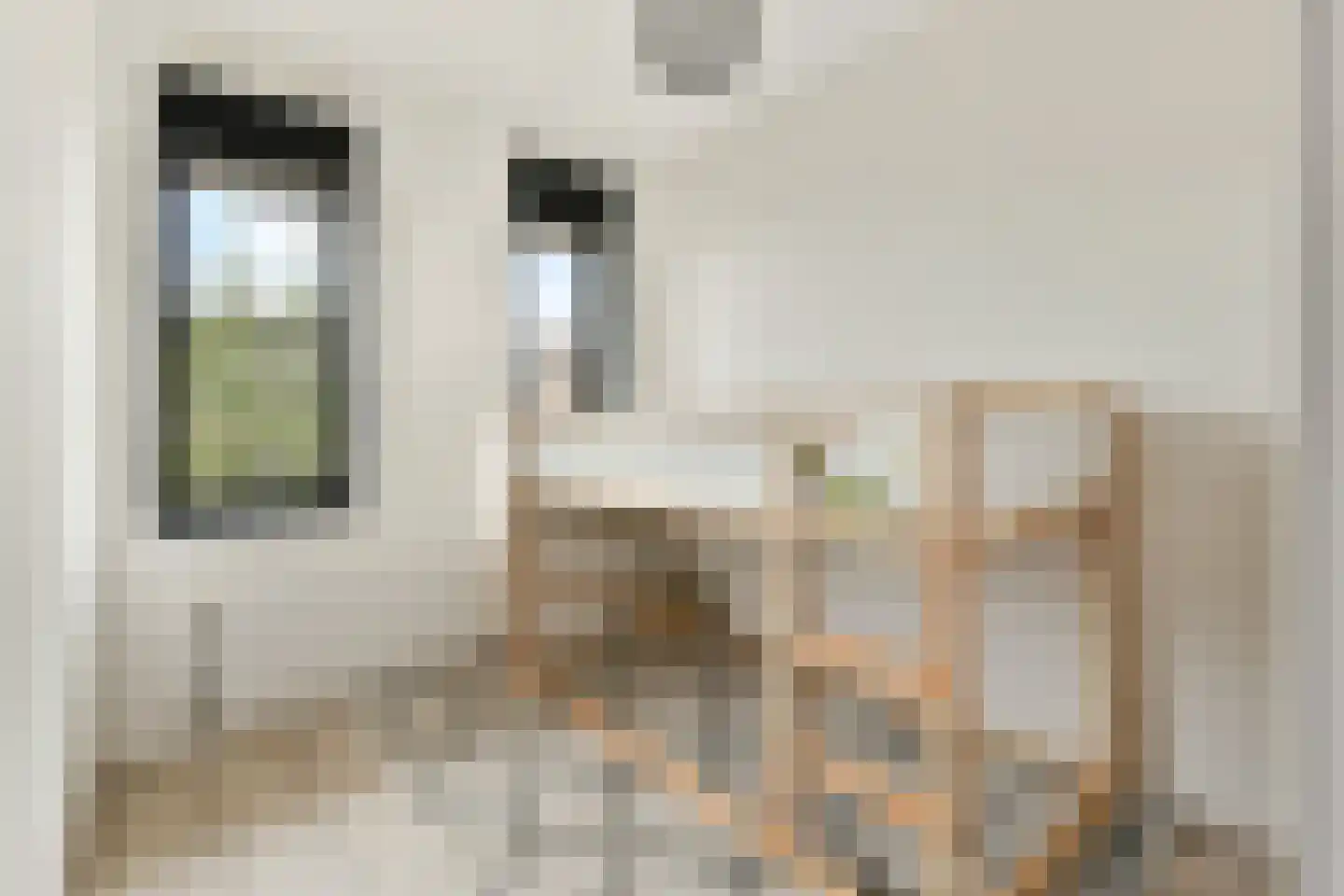 Isaac Israëlslaan 15 Rhoon thumbnail 16