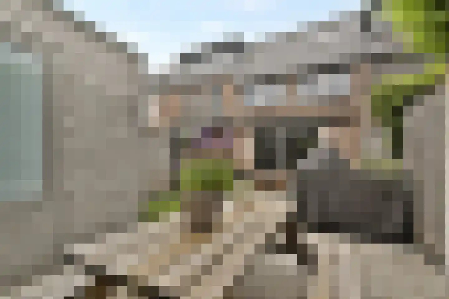 Isaac Israëlslaan 15 Rhoon thumbnail 24
