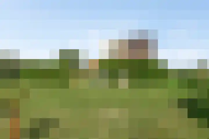 Isaac Newtonstraat 113 Almere thumbnail 33