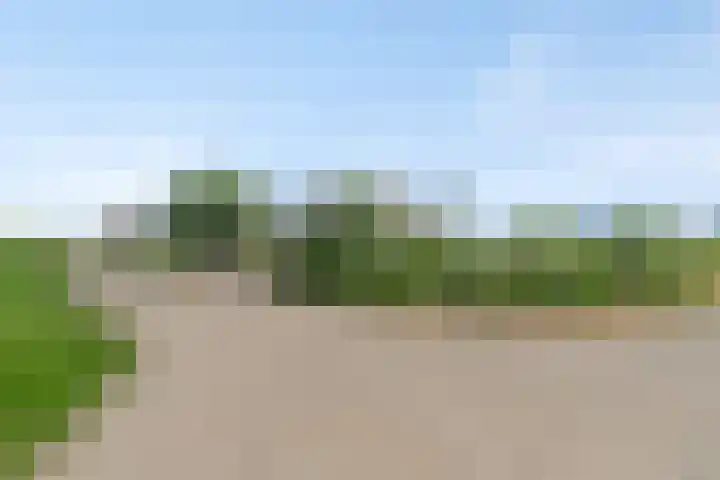 Isaac Newtonstraat 113 Almere thumbnail 39