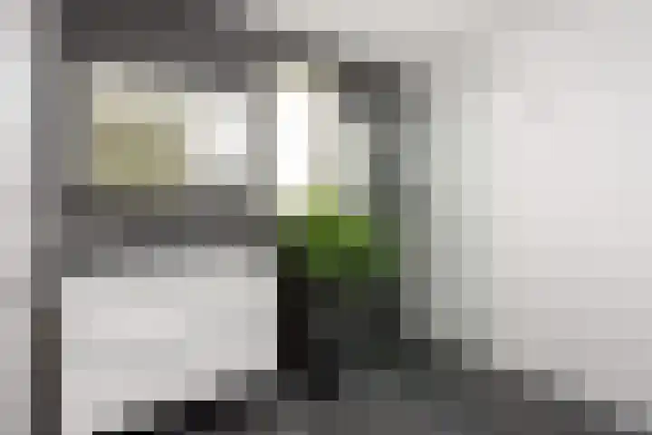 Isaac Newtonstraat 17 Almere thumbnail 4