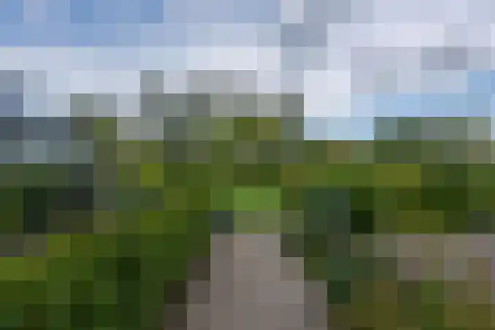 Isaac Newtonstraat 17 Almere thumbnail 46