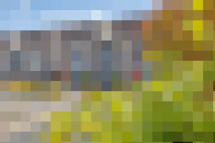 Isaac Newtonstraat 58 Almere thumbnail 31