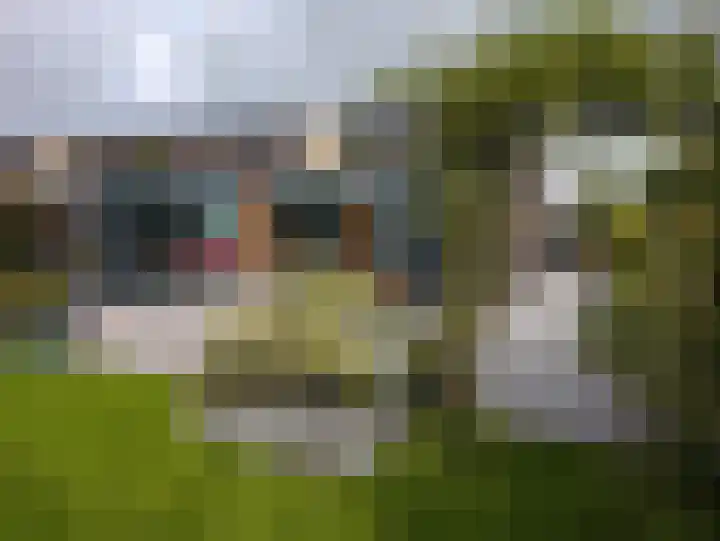 Isaac Newtonstraat 86 Almere thumbnail 28