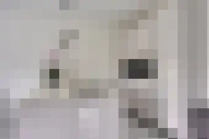 Isaac Newtonstraat 86 Almere thumbnail 6