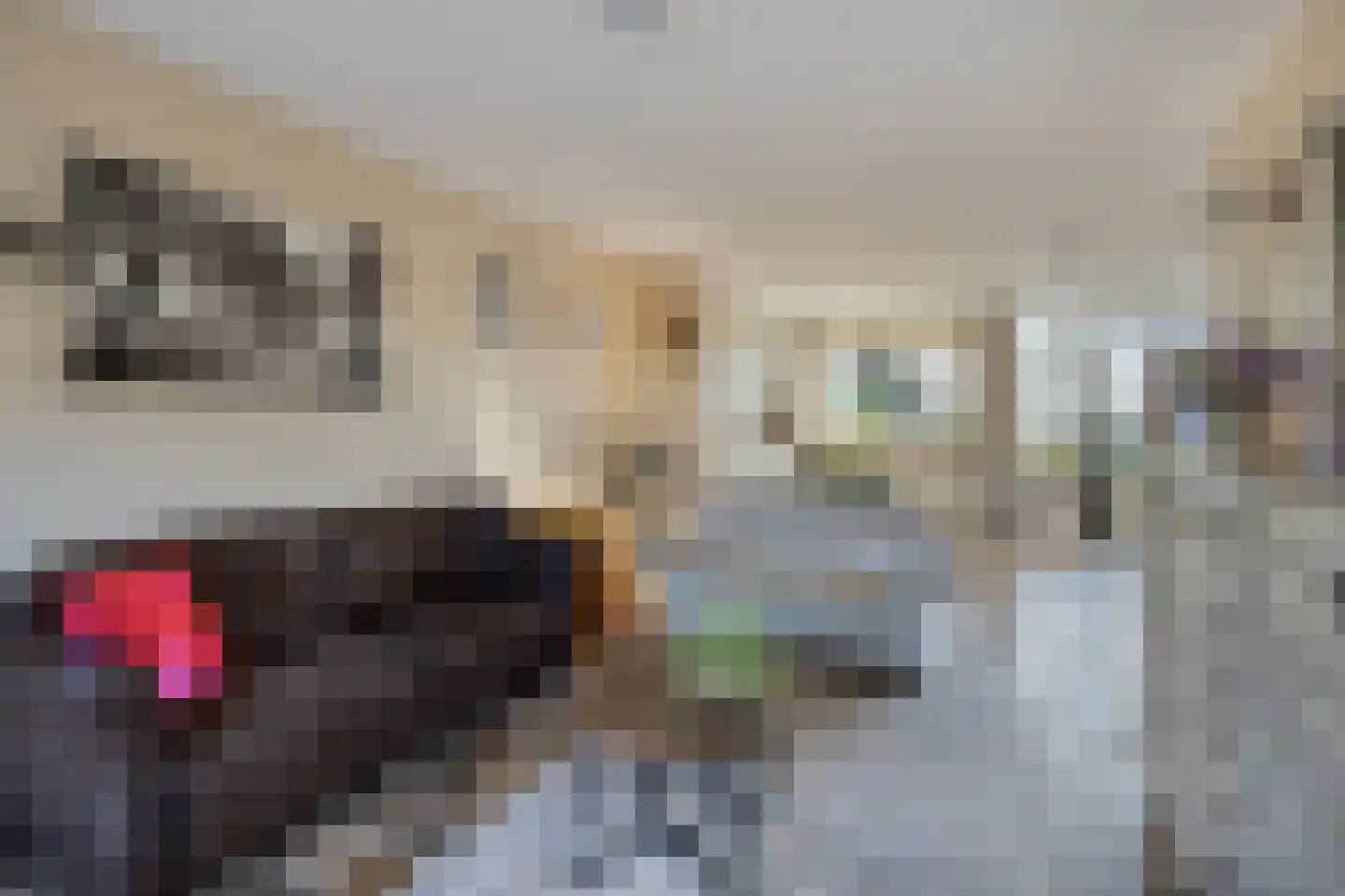 Isaac Sweerslaan 3 Hendrik-Ido-Ambacht thumbnail 10