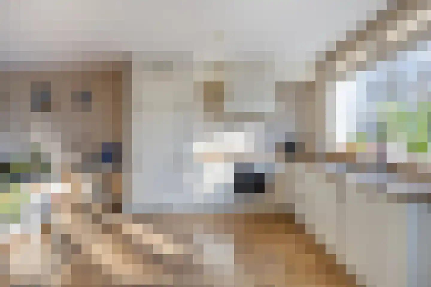 Isaac Sweerslaan 3 Hendrik-Ido-Ambacht thumbnail 13