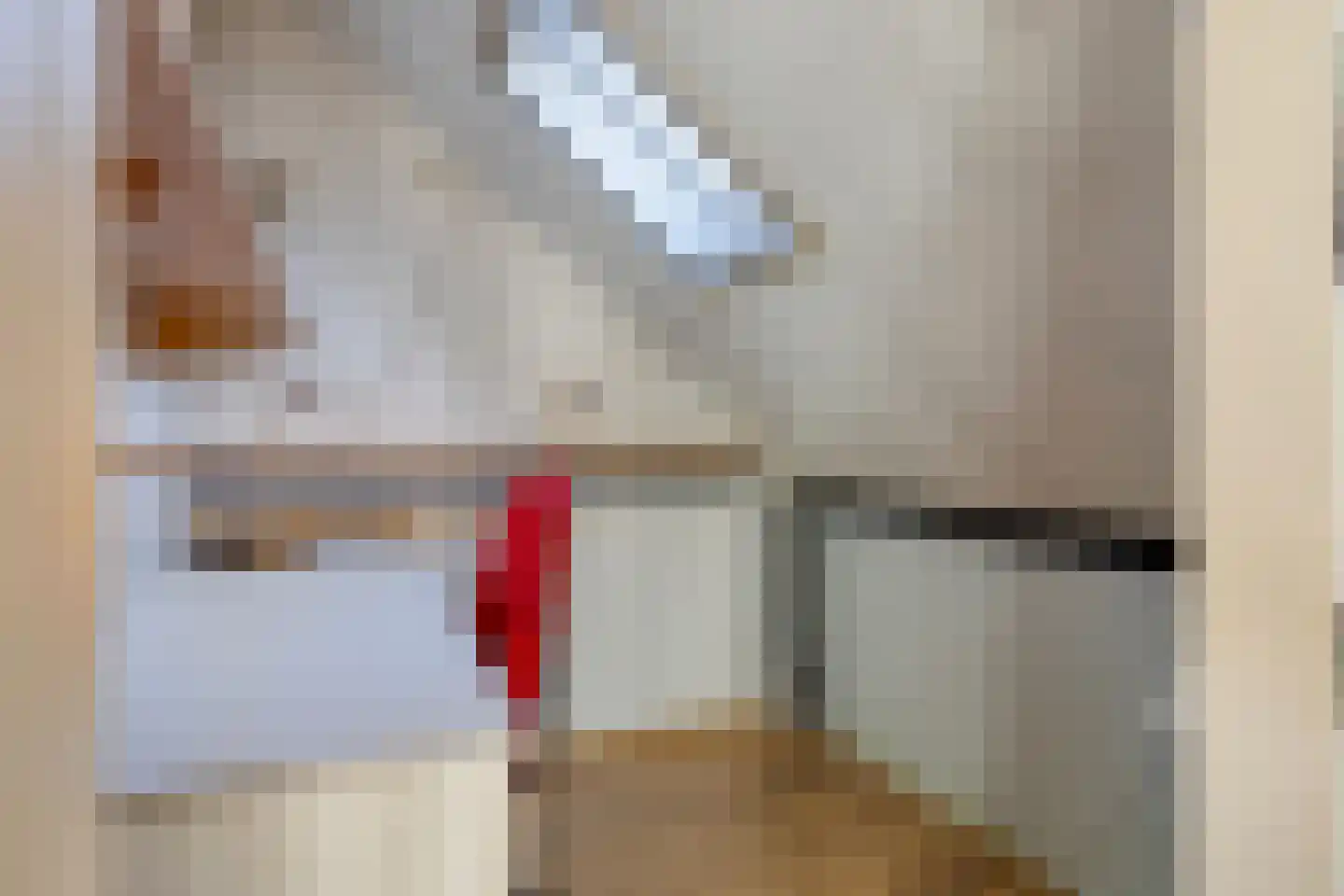 Isaac Sweerslaan 3 Hendrik-Ido-Ambacht thumbnail 31