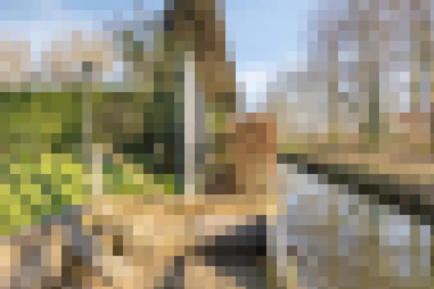Isaac Sweerslaan 3 Hendrik-Ido-Ambacht thumbnail 38