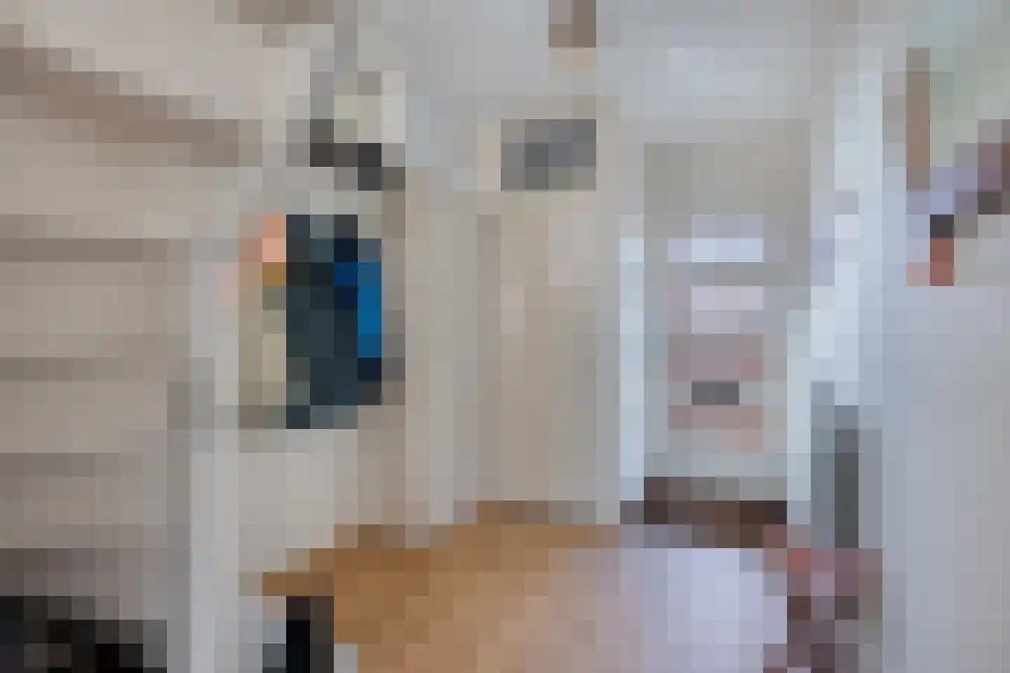 Isaac Sweerslaan 3 Hendrik-Ido-Ambacht thumbnail 4