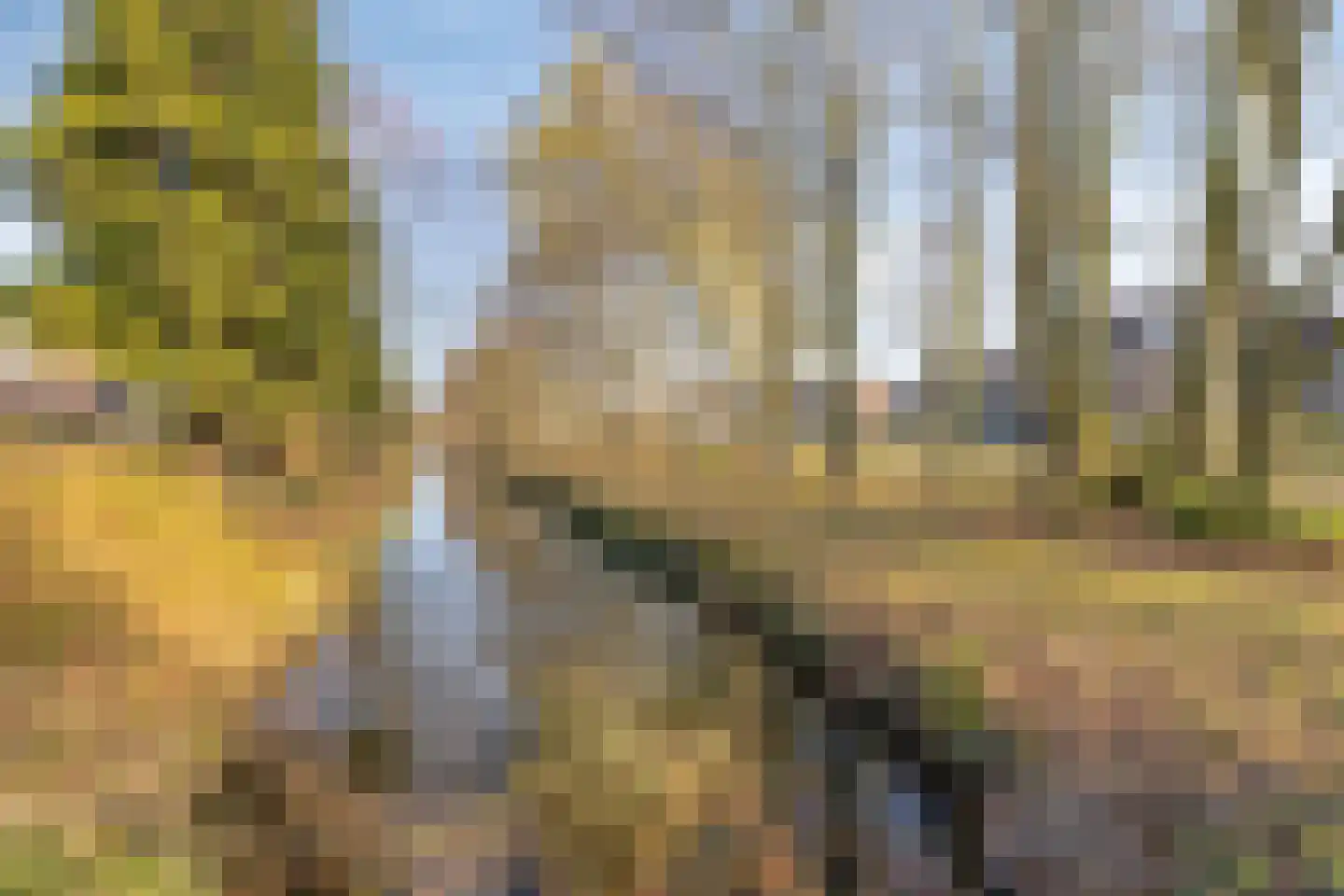 Isaac Sweerslaan 3 Hendrik-Ido-Ambacht thumbnail 47