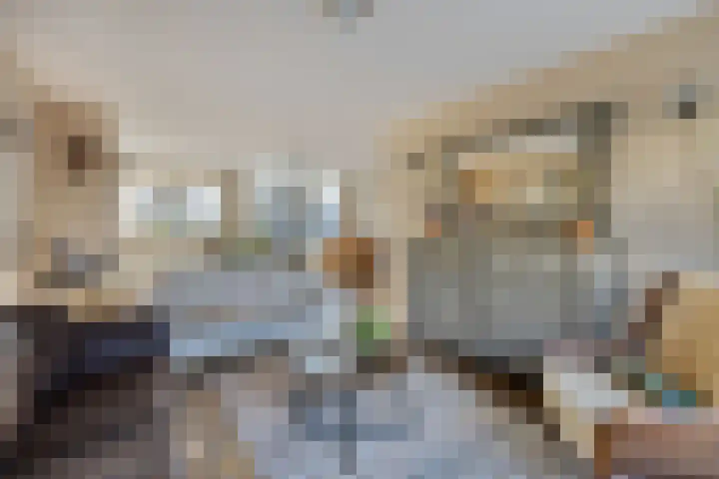 Isaac Sweerslaan 3 Hendrik-Ido-Ambacht thumbnail 8