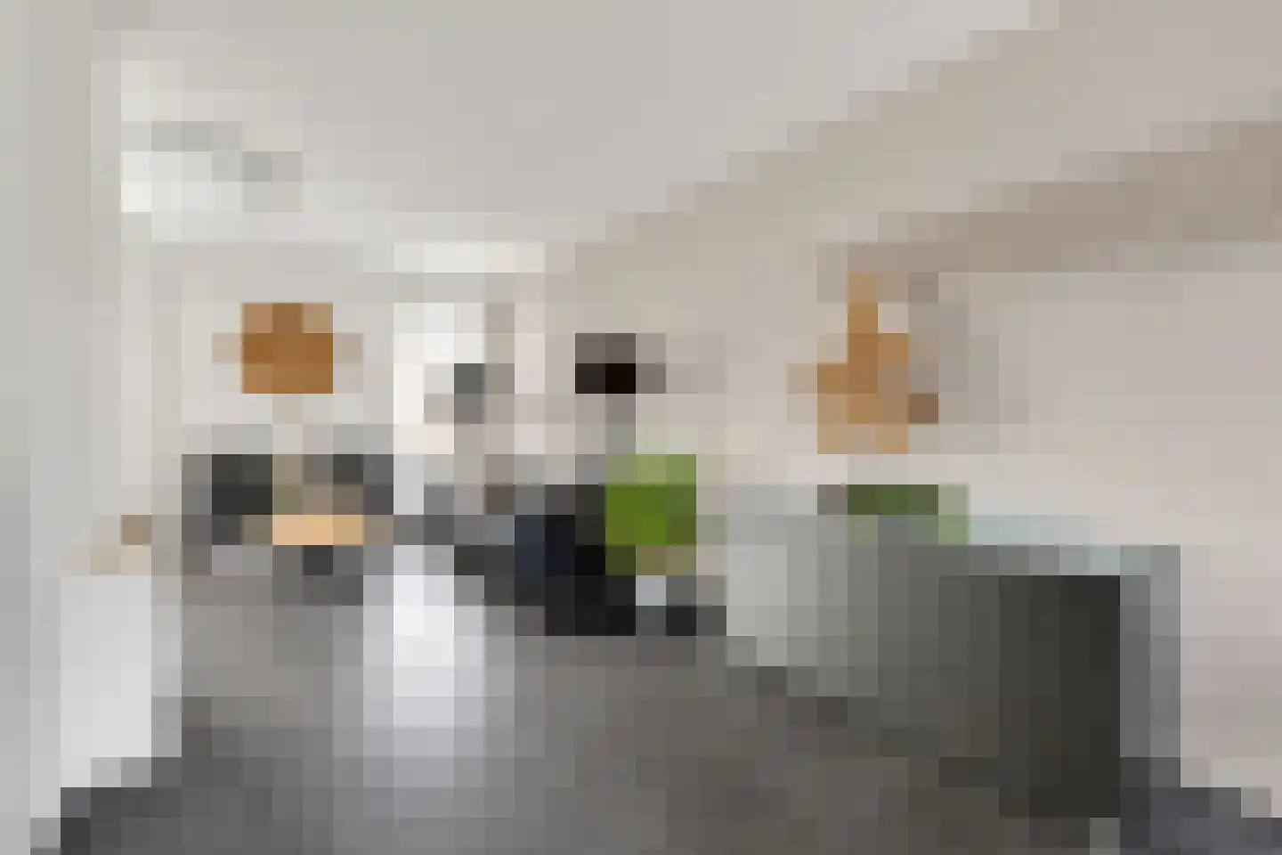 Isaac Sweersstraat 5 Nijkerk thumbnail 11