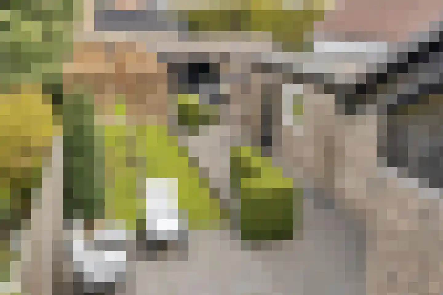 Isaac Sweersstraat 5 Nijkerk thumbnail 24