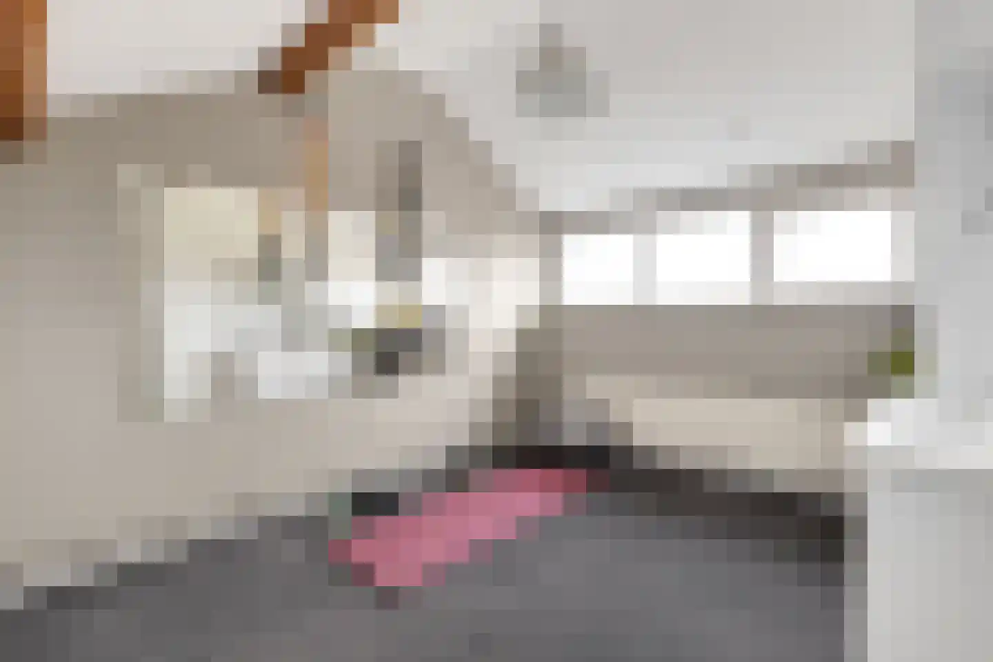 Isaac Sweersstraat 5 Nijkerk thumbnail 31