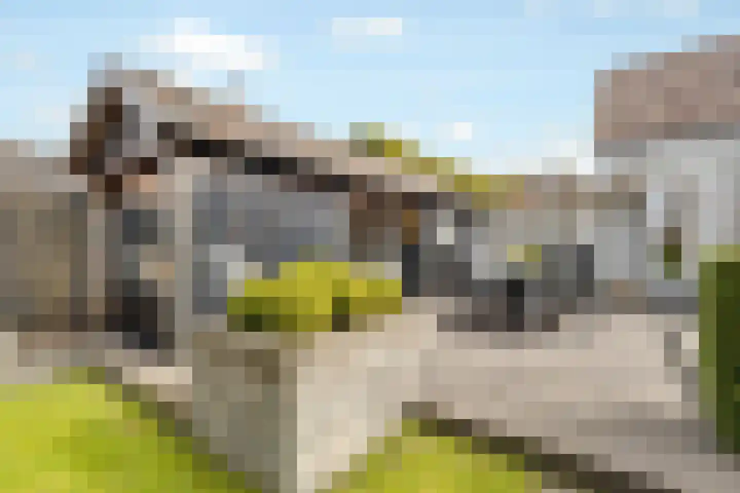 Isaac Sweersstraat 5 Nijkerk thumbnail 36