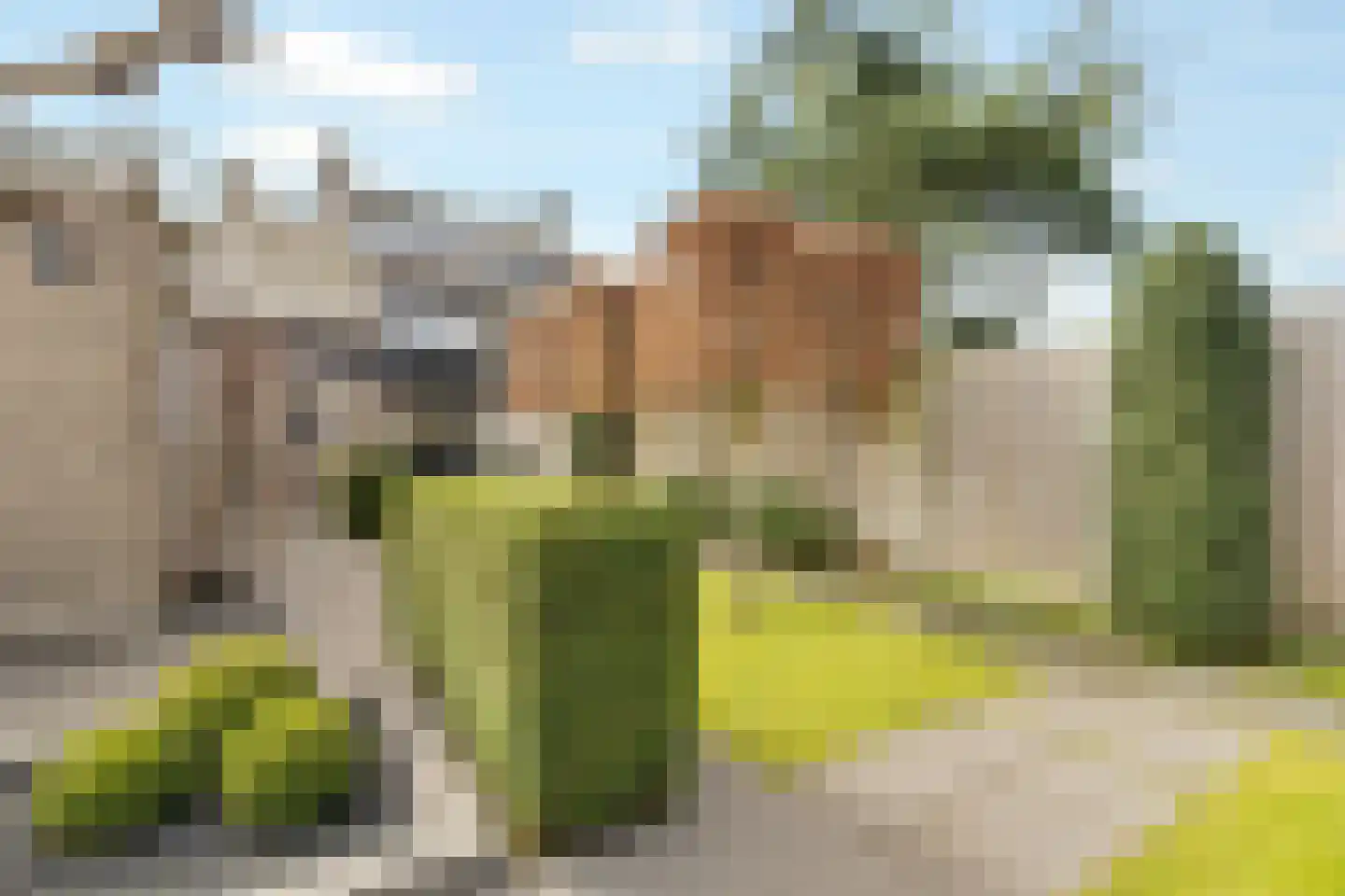 Isaac Sweersstraat 5 Nijkerk thumbnail 41