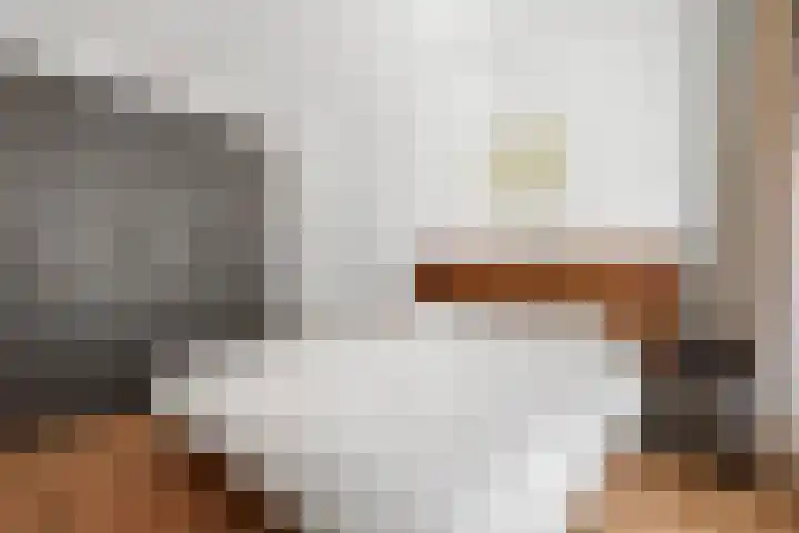 Isaac Titsinghkade 229 Amsterdam thumbnail 14