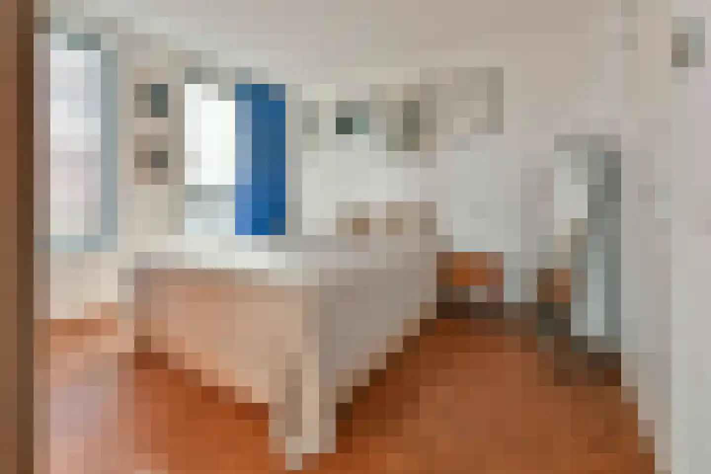 Isaac Titsinghkade 249 Amsterdam thumbnail 13