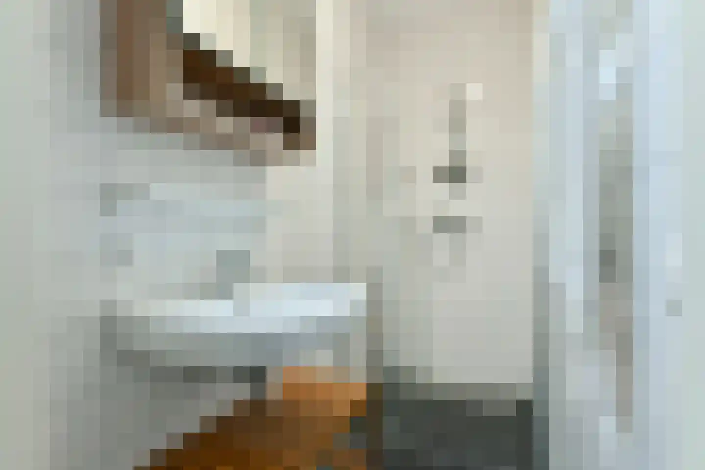 Isaac Titsinghkade 249 Amsterdam thumbnail 16