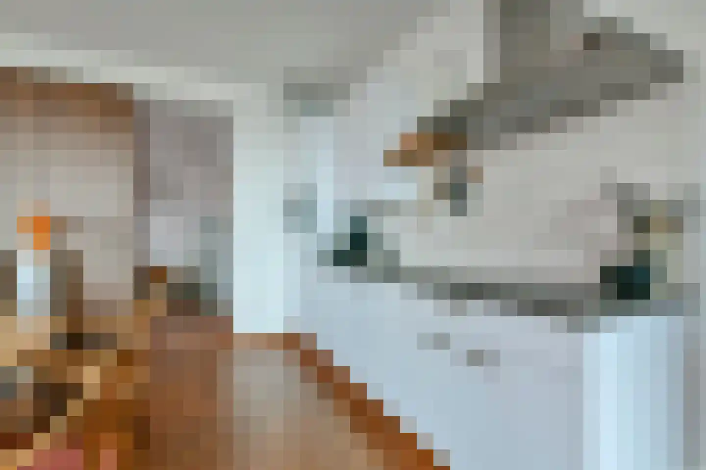 Isaac Titsinghkade 249 Amsterdam thumbnail 9