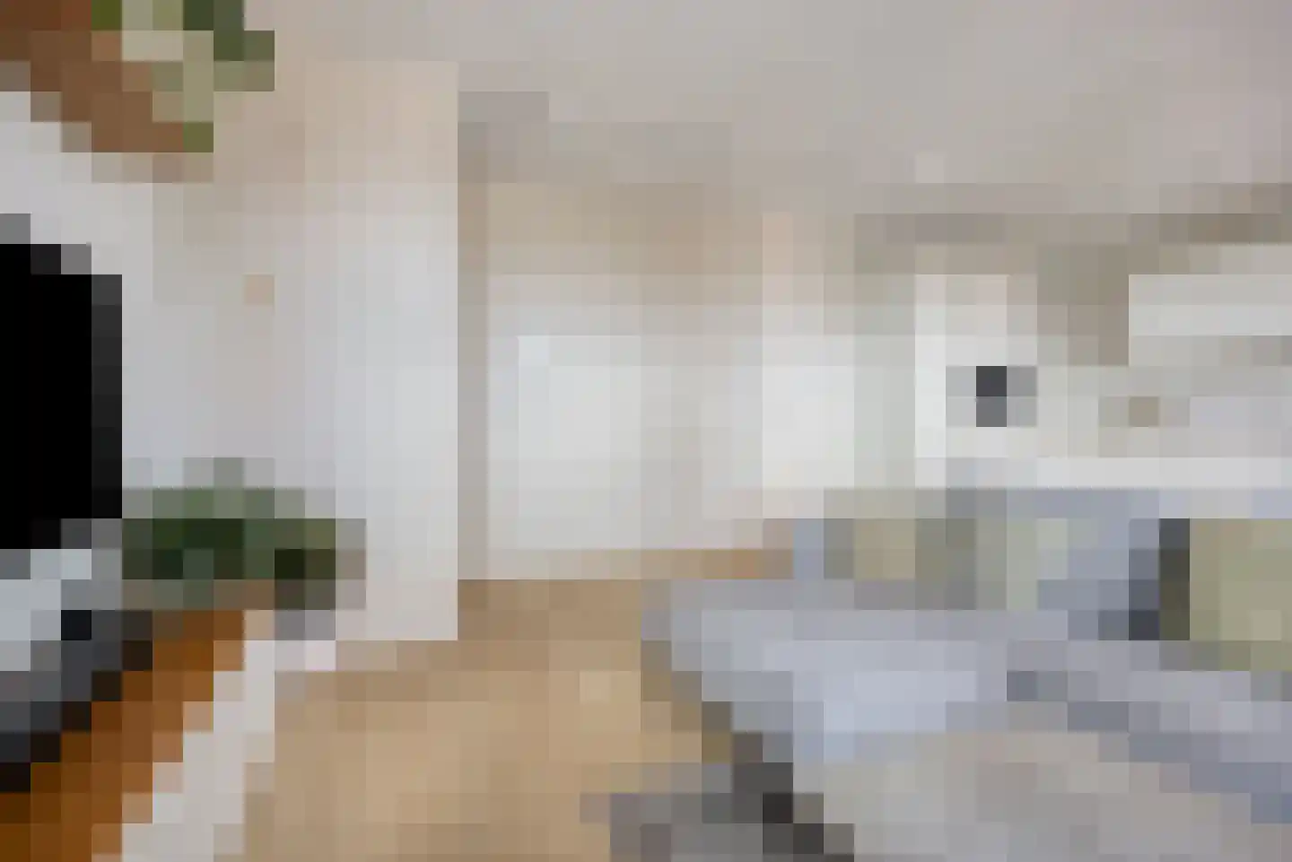 Isaac Titsinghkade 251 Amsterdam thumbnail 15
