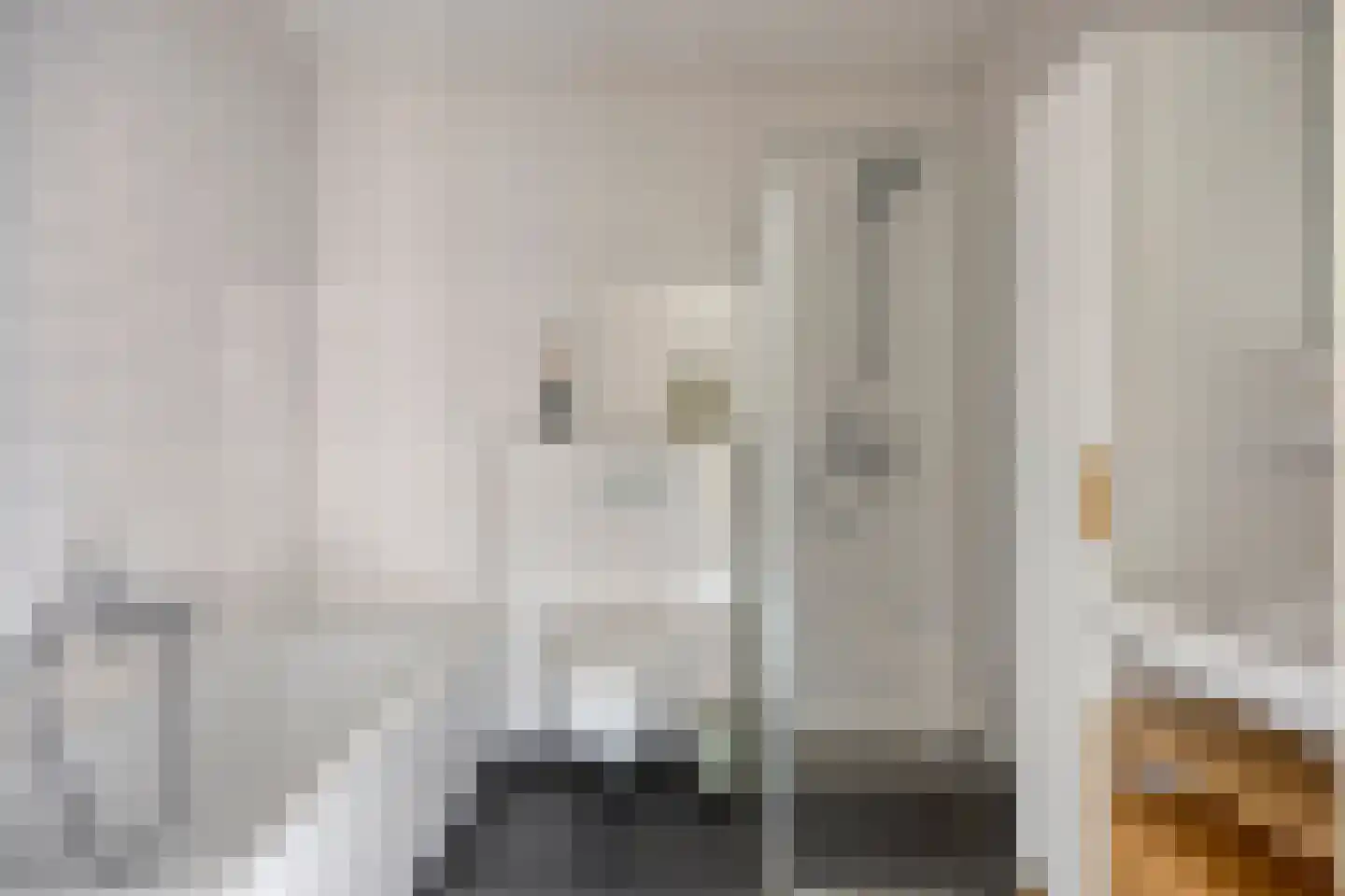 Isaac Titsinghkade 251 Amsterdam thumbnail 21