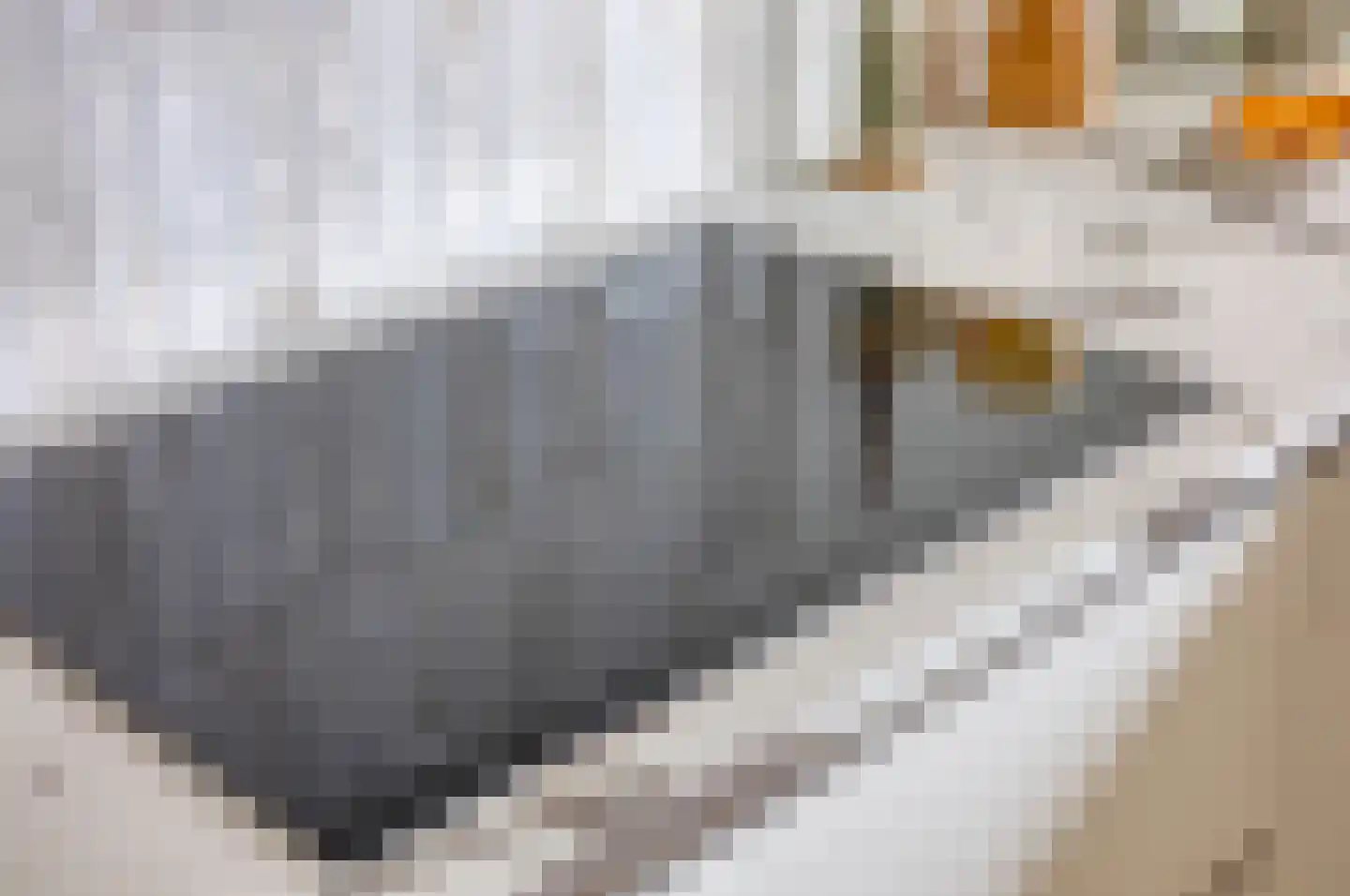 Isaac Titsinghkade 251 Amsterdam thumbnail 4