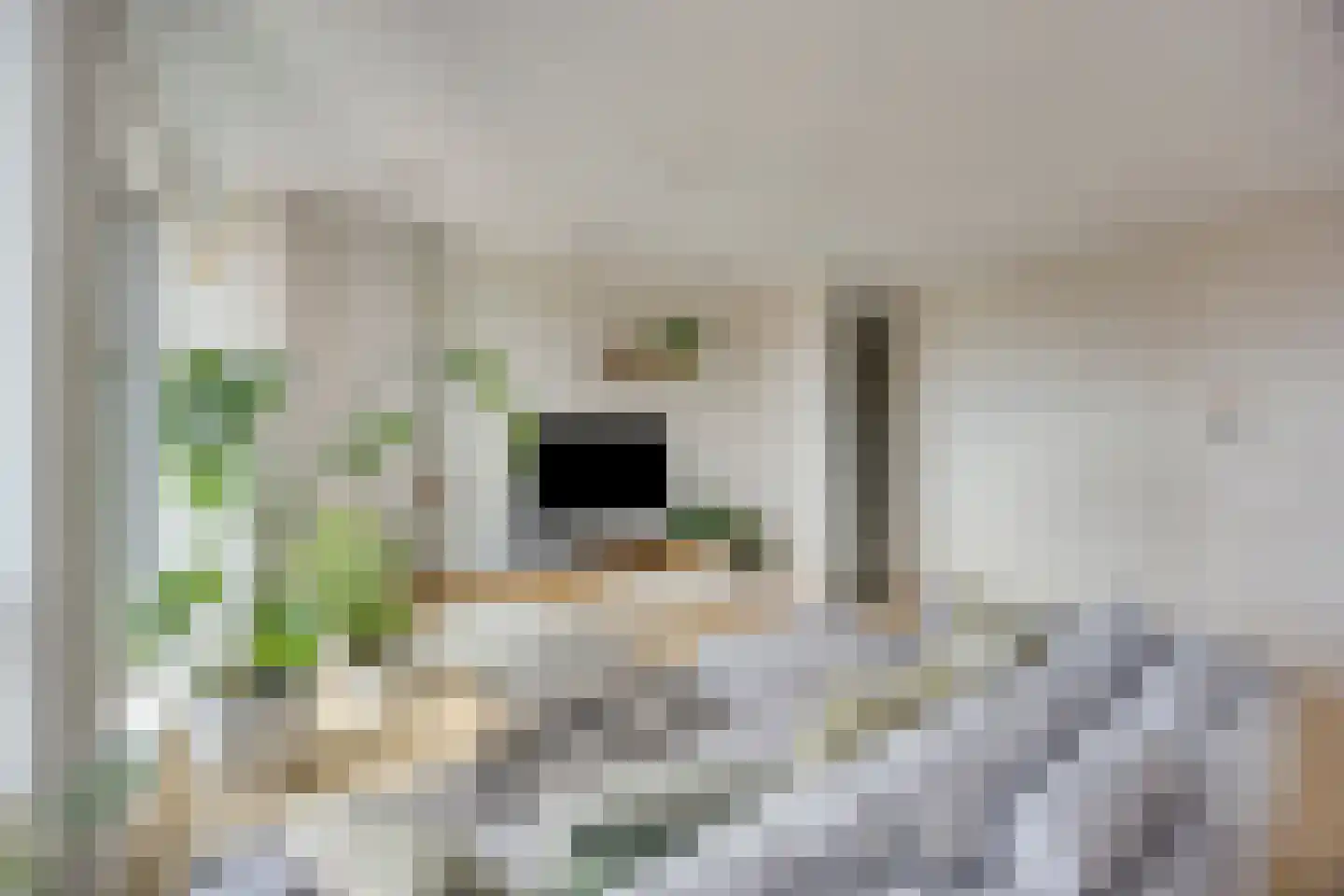 Isaac Titsinghkade 251 Amsterdam thumbnail 7