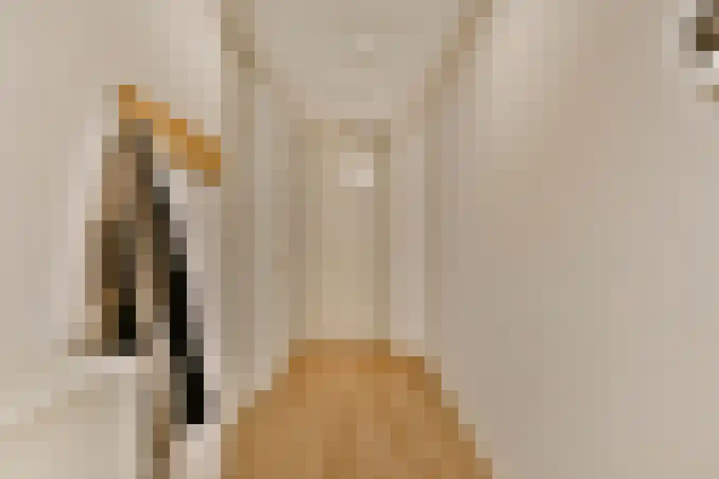 Isaac Titsinghkade 4 C Amsterdam thumbnail 9