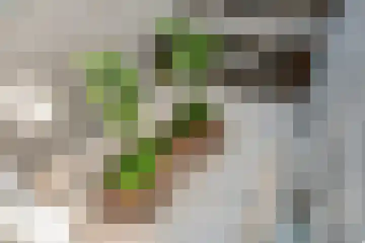 Isaac Titsinghkade 4 E Amsterdam thumbnail 14