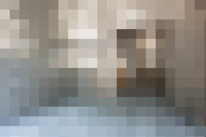 Isaac Titsinghkade 4 E Amsterdam thumbnail 21