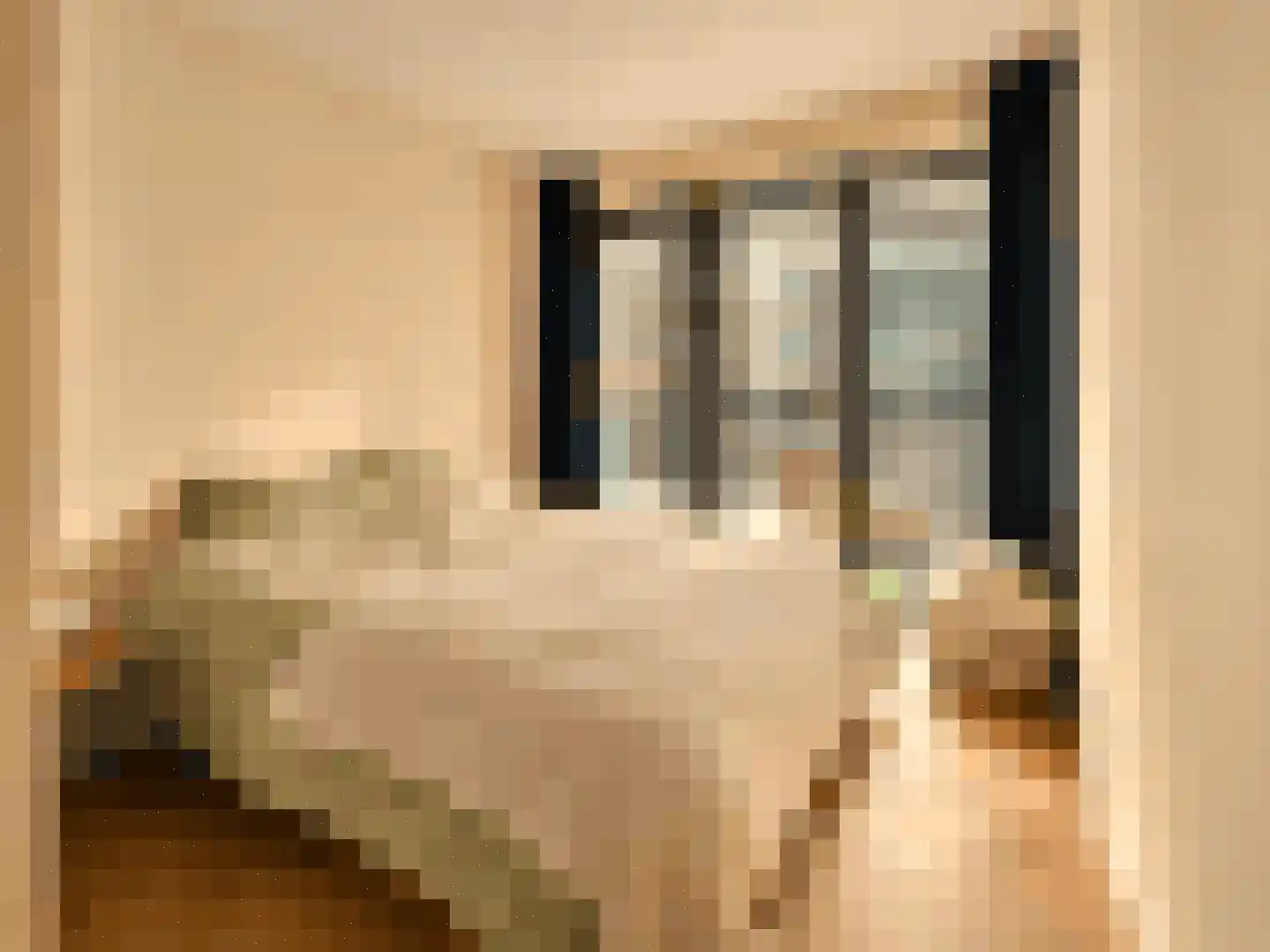 Isaac Titsinghkade 6 L Amsterdam thumbnail 10