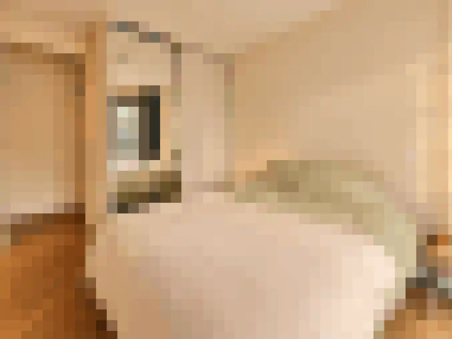 Isaac Titsinghkade 6 L Amsterdam thumbnail 11