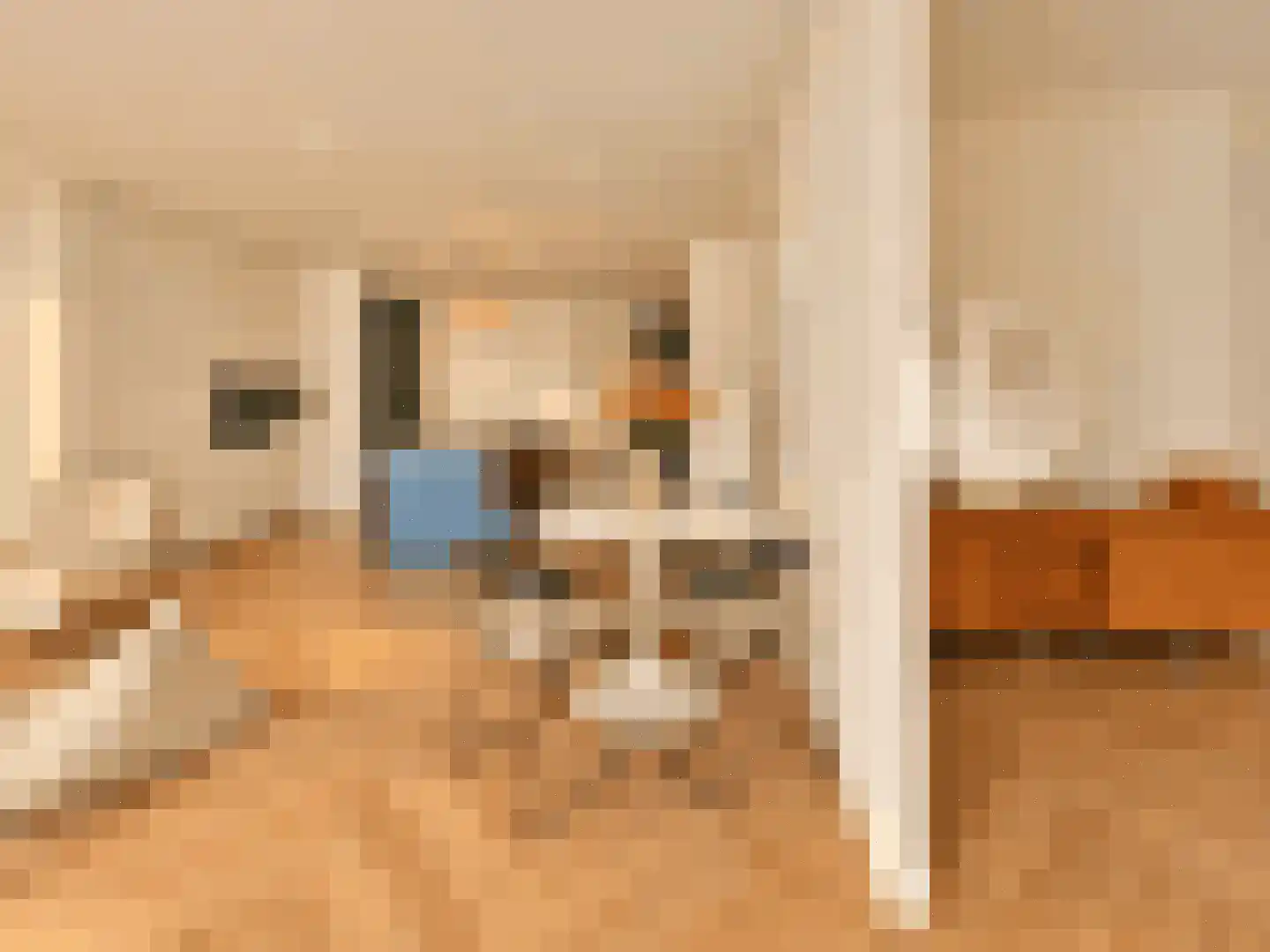 Isaac Titsinghkade 6 L Amsterdam thumbnail 6