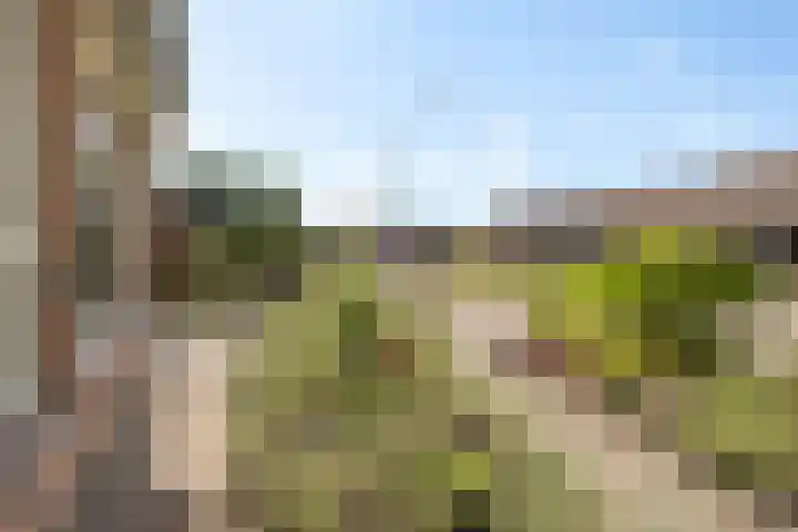 Isaac van Ostadestraat 8 Nietap thumbnail 12