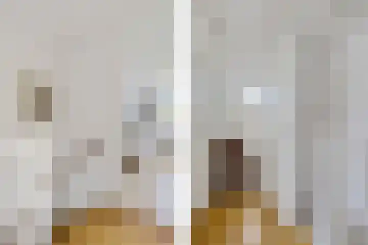 Isaac van Ostadestraat 8 Nietap thumbnail 25