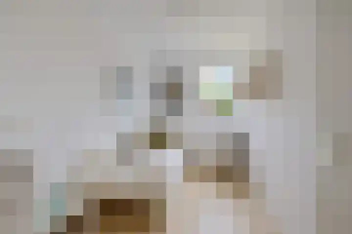 Isaac van Ostadestraat 8 Nietap thumbnail 26