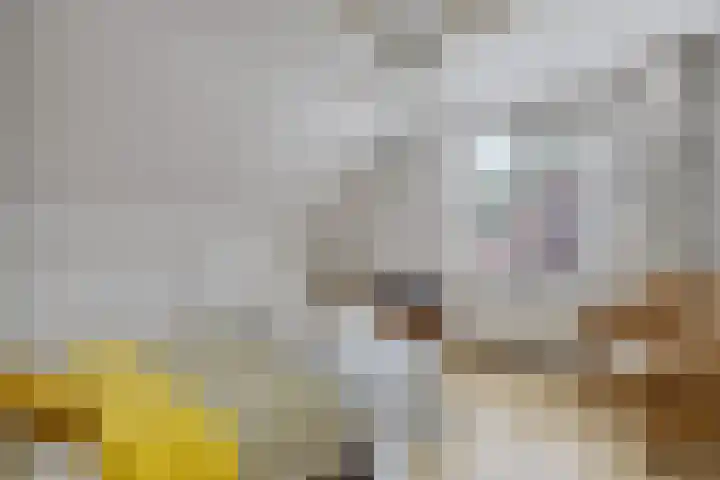 Isaac van Ostadestraat 8 Nietap thumbnail 27