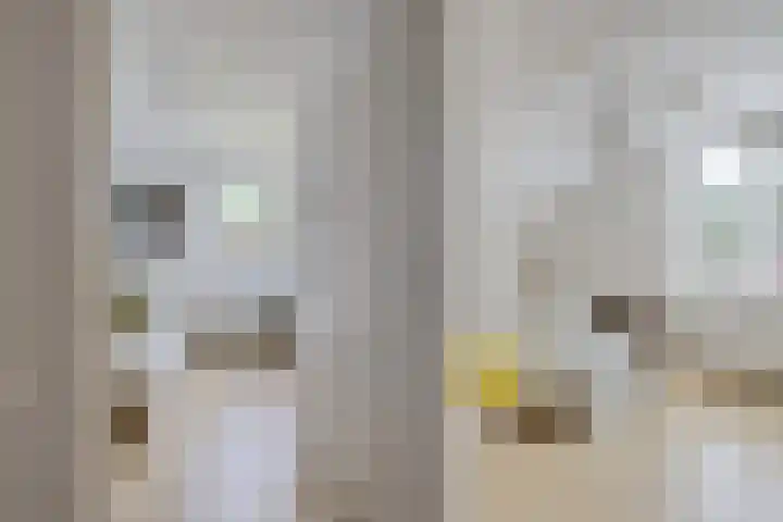 Isaac van Ostadestraat 8 Nietap thumbnail 29
