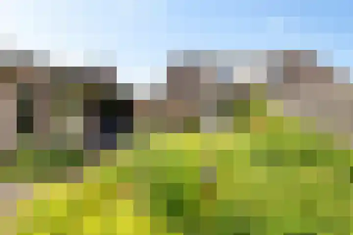 Isaac van Ostadestraat 8 Nietap thumbnail 35