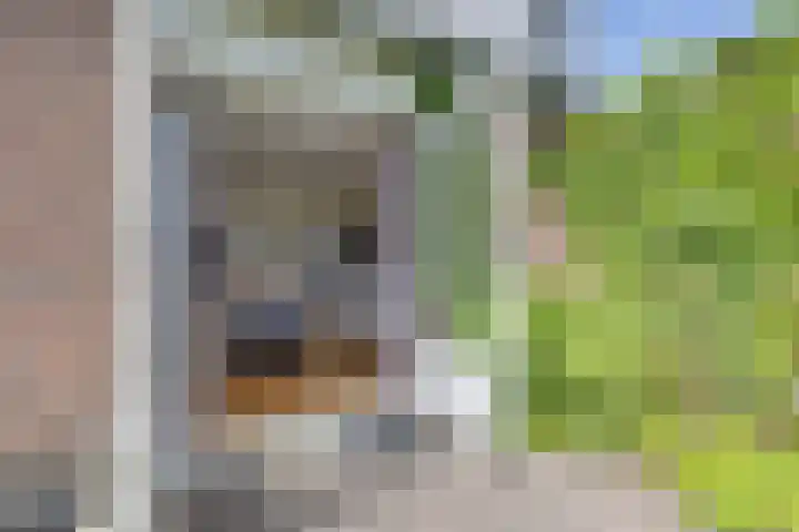 Isaac van Ostadestraat 8 Nietap thumbnail 39
