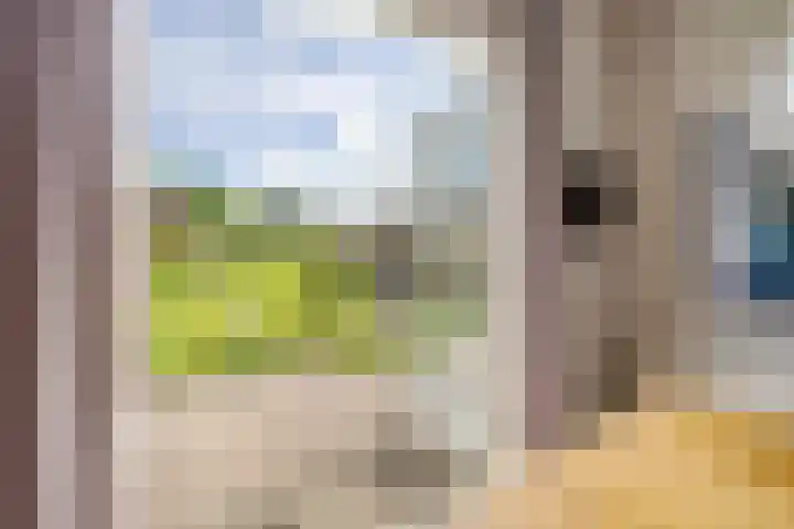 Isaac van Ostadestraat 8 Nietap thumbnail 40