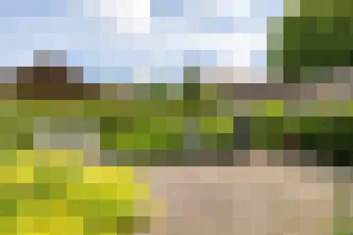 Isaac van Ostadestraat 8 Nietap thumbnail 41