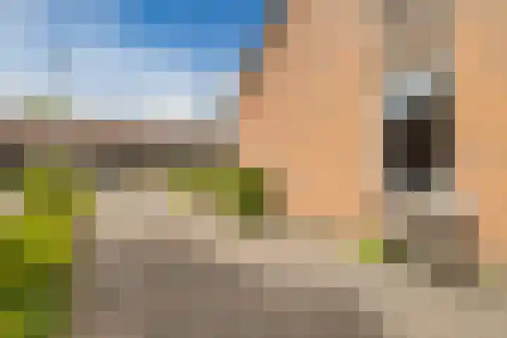 Isaac van Ostadestraat 8 Nietap thumbnail 45