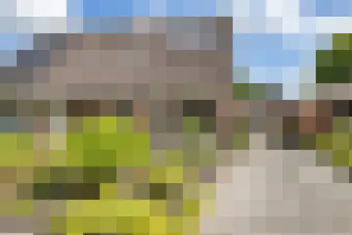 Isaac van Ostadestraat 8 Nietap thumbnail 53