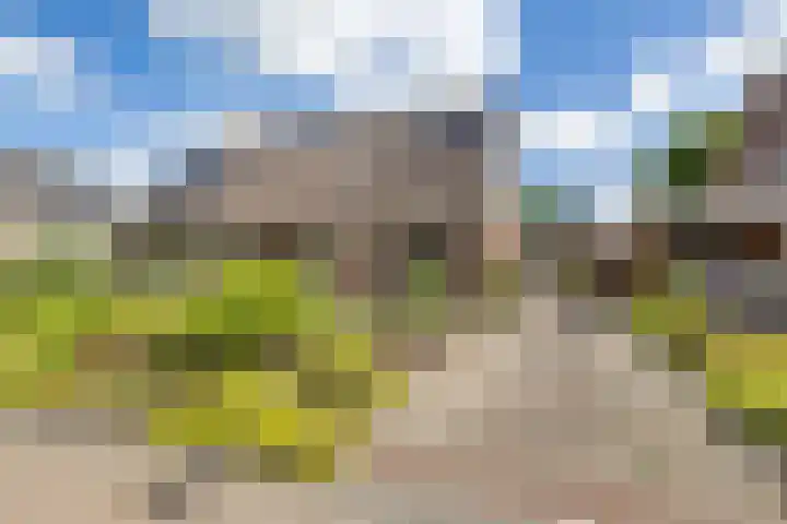 Isaac van Ostadestraat 8 Nietap thumbnail 7