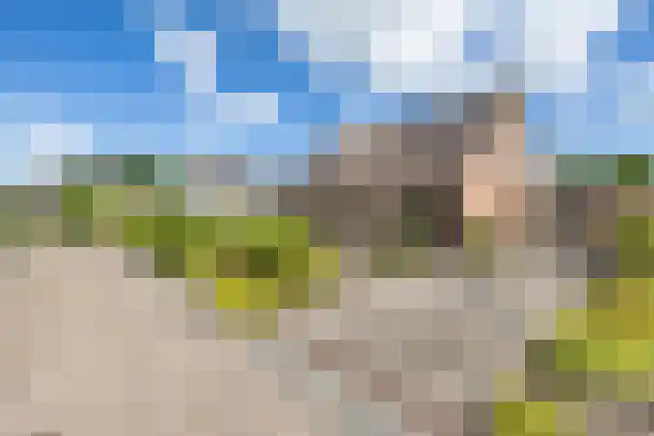 Isaac van Ostadestraat 8 Nietap thumbnail 8