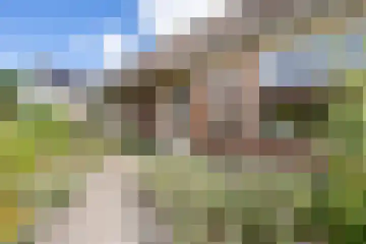 Isaac van Ostadestraat 8 Nietap thumbnail 9